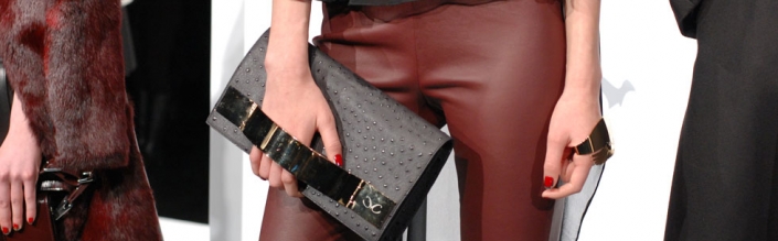 Monika Chiang Fall 2013