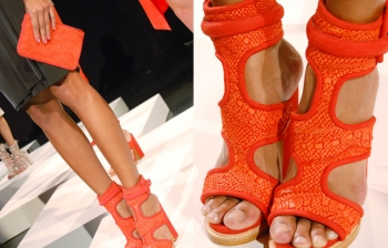 Monika Chiang Spring 2013