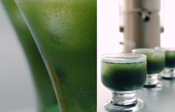 (English) Juicing Q&A: Which juicer do you recommend?