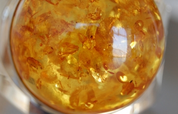 Bons baisers de Russie