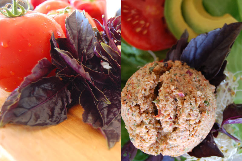 tThe Global Girl Raw Food Recipes: Raw Vegan Burger with a walnut patty and avocado, clover and sunflower sprouts in a tomato bun. This raw veggie burger is gluten free and oil free.