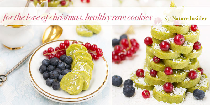 tThe Global Girl Top 5 Raw Vegan Christmas Dessert Recipes: Healthy Cookies by Nature Insider