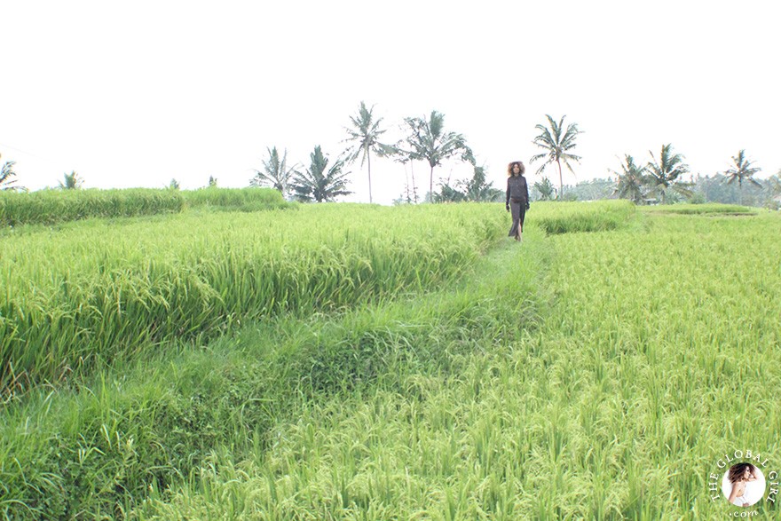 The Global Girl Travels: Ndoema takes a stroll through Ubud's archetypal rice paddy fields in Bali, Indonesia.