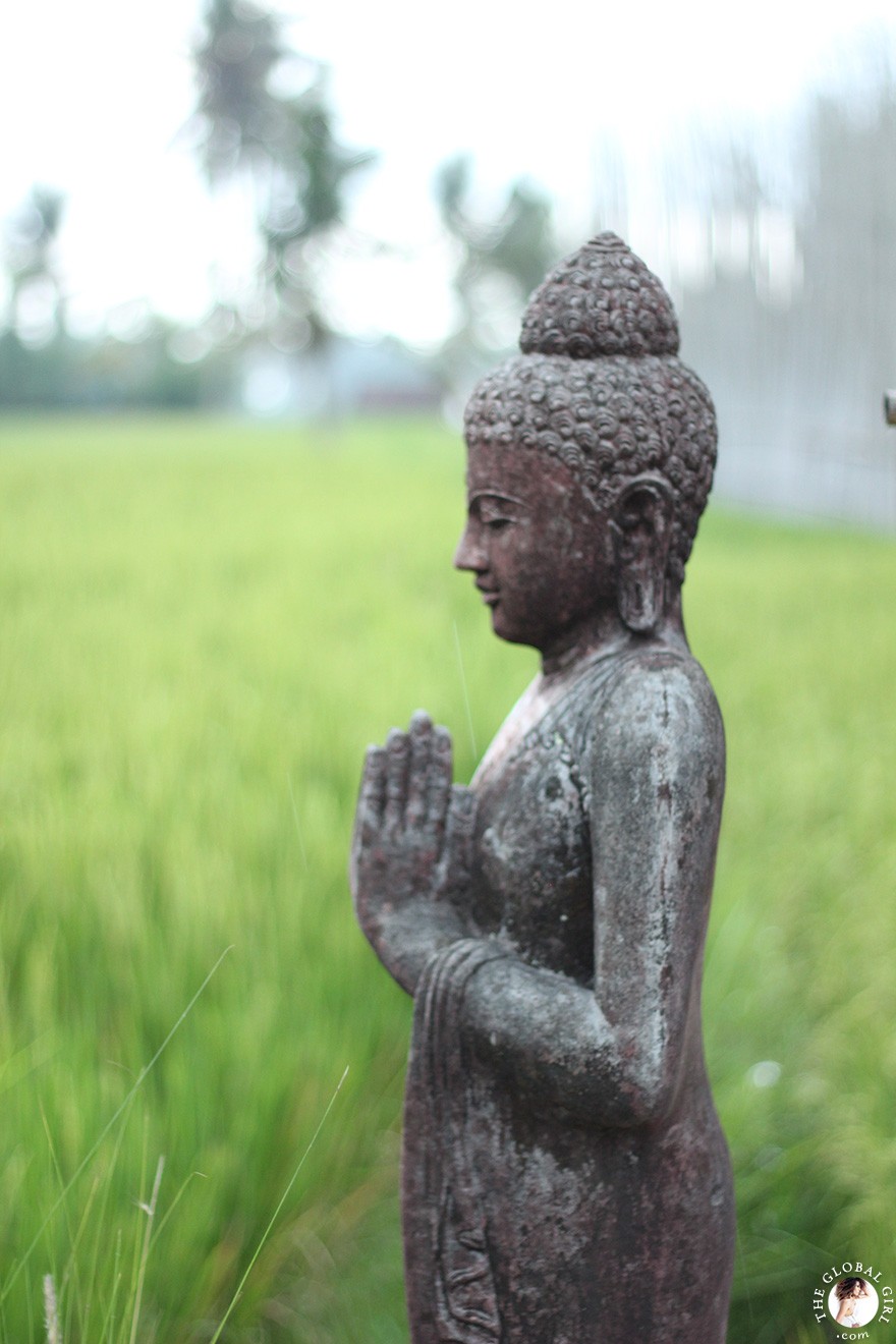 The Global Girl Travels: Rice paddy fields in Ubud, Bali.