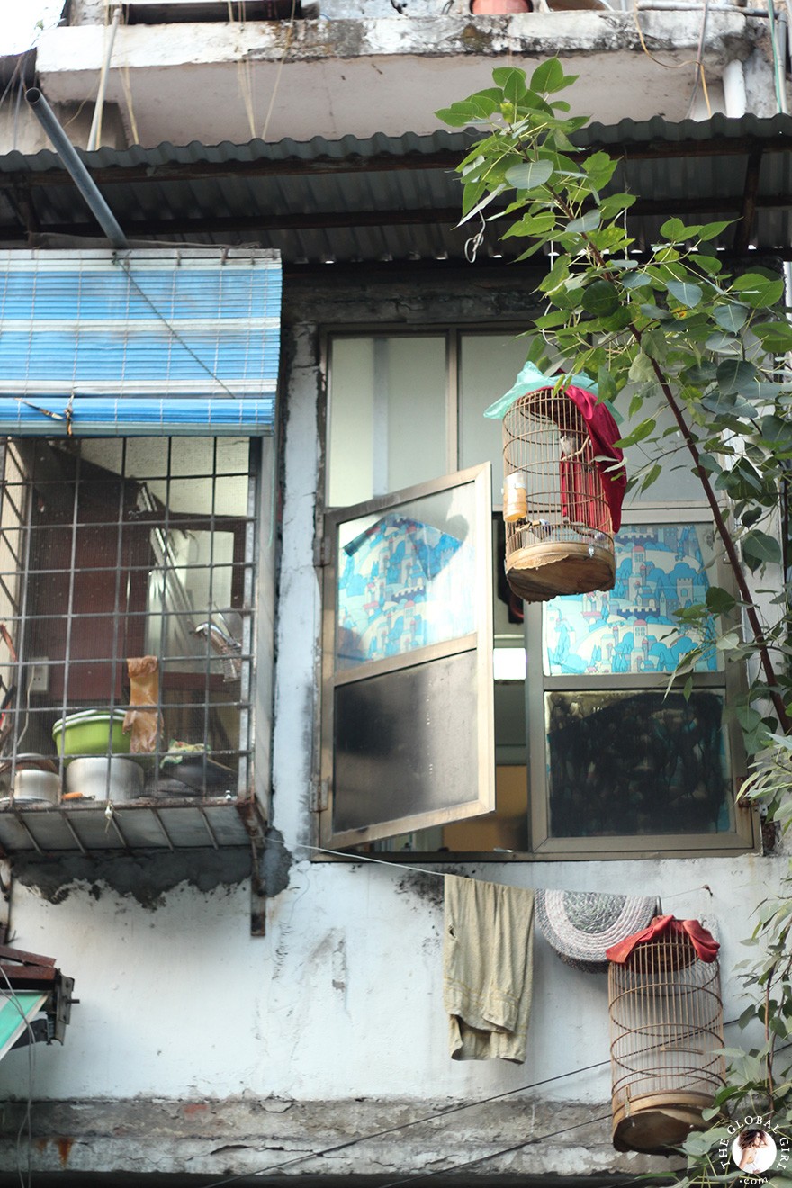 The Global Girl Travels: The Old Quarter in Hanoi, Vietnam.