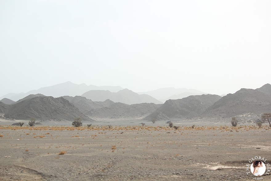 The Global Girl Travels: Camels in the Sahara desert, Egypt.