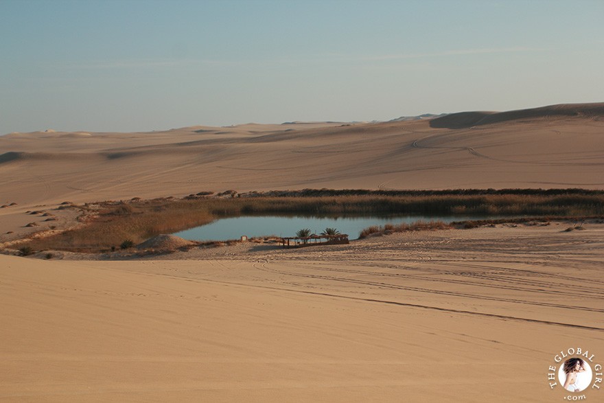 The Global Girl Travels: Safari in the Libyan desert - Sahara, North Africa.