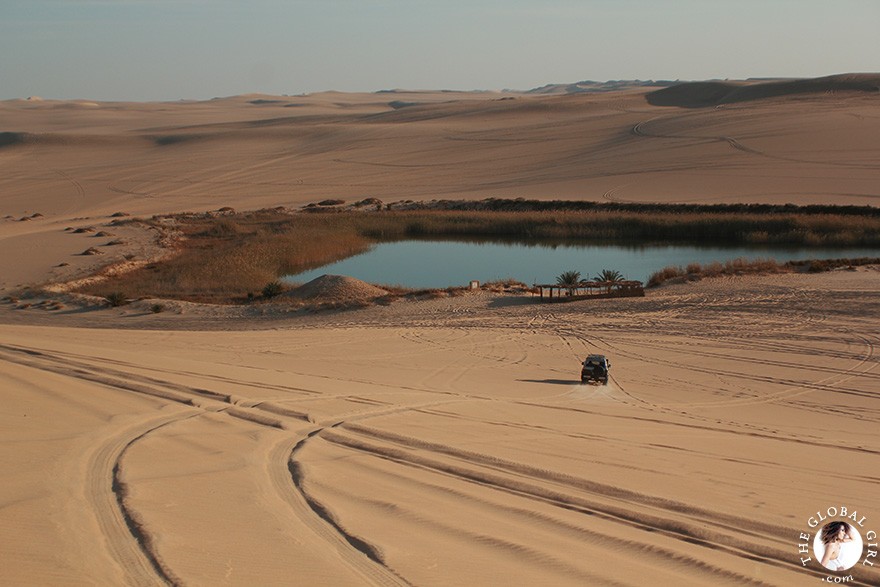 The Global Girl Travels: Safari in the Libyan desert - Sahara, North Africa.